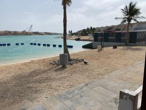 eine Palme am Strand neben dem Wasser in der Unterkunft درة العروس شاليه لونج بيتش in Durrat Al-Arus