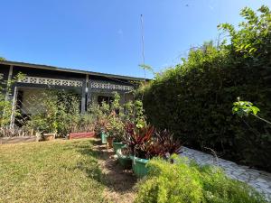 einen Garten mit Pflanzen in Töpfen auf dem Gras in der Unterkunft Fajara Suites, Bakau, Banjul, Gambia in Banjul