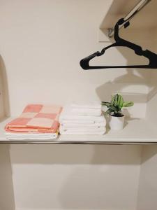 a shelf with towels and a plant on it at Modern Downtown SLC Apartment in Salt Lake City