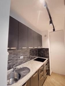 eine Küche mit Spüle und Kühlschrank in der Unterkunft Diamond Apartment Prishtina 2 in Pristina