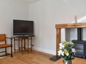 a living room with a television and a fireplace at Speedwell Cottage in Woodgreen