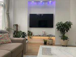 sala de estar con sofá y TV de pantalla plana en Appartement centre Zaza en Bruselas