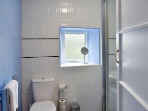 a bathroom with a toilet and a window at Front Row Cottage, River View in Ovingham