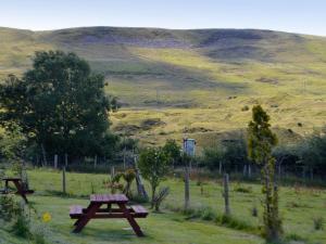 a picnic table in a field with a hill in the background at Brynllefrith Farmhouse in Cymmer
