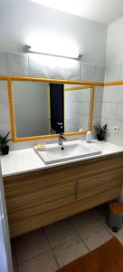 a bathroom with a sink and a mirror at DV REAL PHILOXENIA Villa in Oyster Pond