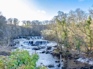 a river with waterfalls and trees in the foreground at Starfall in Aysgarth