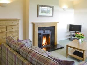 Horsley的住宿－North Farm Bungalow，带沙发和壁炉的客厅