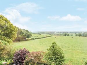 a large green field with cows in the distance at The Hill Cottage Apartment in Wollaston