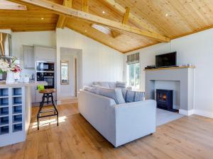 een woonkamer met een bank en een open haard bij Nanny Goat Lodge in Crossway Green