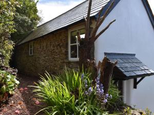 a house with a window and a tree at Strawberry Cottage in Combe Martin