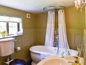 a bathroom with a tub and a toilet and a sink at Uk34351 - Squirrel Cottage in Betws-y-coed
