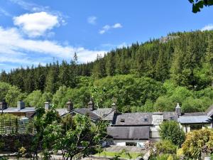 a group of houses in front of a mountain at Uk34351 - Squirrel Cottage in Betws-y-coed