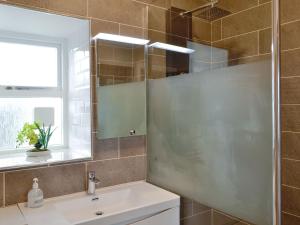 bagno con doccia, lavandino e specchio di The Apartment a Brecon