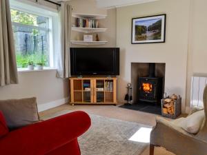 a living room with a tv and a fire place at Craigrannoch Cottage in Rockcliffe