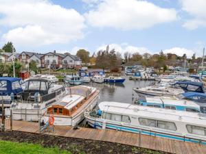 a bunch of boats are docked in a marina at Riverside Cottage in Loddon