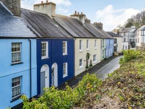 a row of blue and white houses on a street at Number 4 in Llandeilo