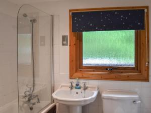 a bathroom with a sink and a toilet and a window at Red Kite Lodge - Uk37417 in Legbourne