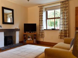 een woonkamer met een tv en een open haard bij Bell Hill Cottage in Lindale