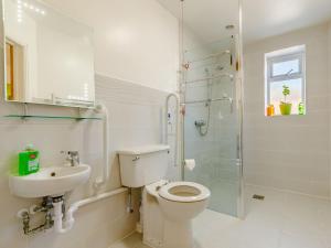 a bathroom with a toilet and a sink and a shower at The Woodlands Farmhouse in Threapwood