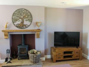 a living room with a tv and a fireplace at Pasture View in Barnard Castle