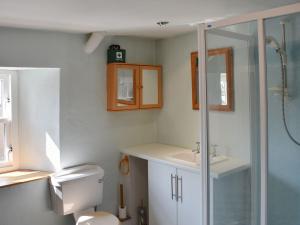 a bathroom with a shower and a toilet and a sink at The Black Bull in Appleby