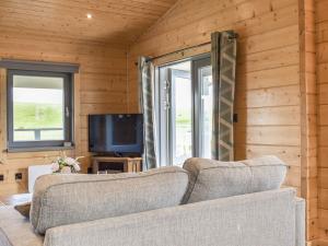 a living room with a couch and a tv at Pine Lodge - Uk30007 in Lindal in Furness