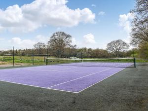 a tennis court with a purple tennis court at Honeypot Cottage in Maresfield