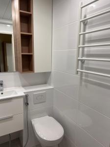 La salle de bains blanche est pourvue de toilettes et d'un lavabo. dans l'établissement Kärberi Apartments, à Tallinn