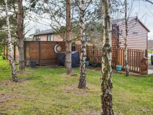 a group of trees in a yard with a house at Cairnswood in Swarland