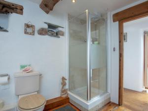 a bathroom with a shower and a toilet at Higher Broadaford Barn in Ivybridge