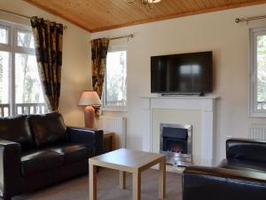 a living room with a fireplace and a tv at Lodge F- Uk33092 in Dinnet