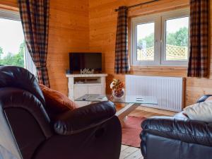 a living room with a leather chair and a television at Pheasant Lodge - Uk33402 in Hungerton
