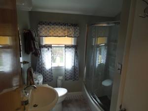 a bathroom with a toilet and a sink and a shower at Relax in Nature & Serenity at Bird River Cottage! in Middle River