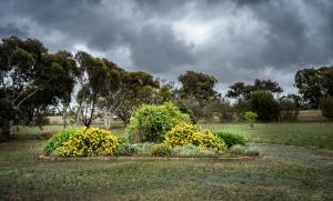 A garden outside Onegum Bed and Breakfast