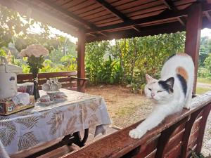 Ban Doชมจันทร์รีสอร์ท ไชยา Chomjan resort的相册照片