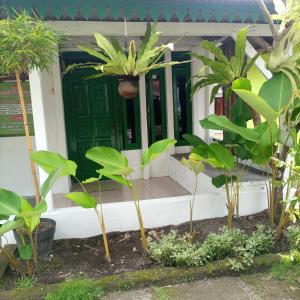 uma porta da frente de uma casa com plantas na frente em Pondok Pusaka Alam 2 Pangandaran em Pangandaran