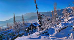 een met sneeuw bedekte berg met bomen en gebouwen bij Everest Guest House in Gulmarg