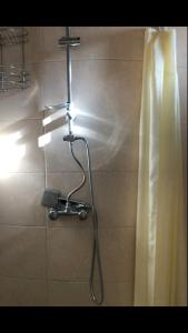 a shower in a bathroom with a light on a wall at Ekaterine Guest House in Stepantsminda