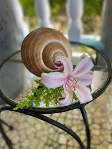Fotografie z fotogalerie ubytování Cabanes Des Anges v destinaci La Digue
