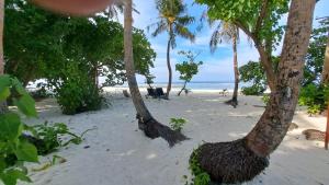 a cow standing on a beach with palm trees at Galaxy Sunrise Sea View in Fulidhoo