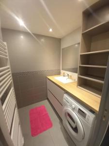 a bathroom with a washing machine and a sink at Le Téléski du Terret; meublé de 2 à 4 personnes in Le Grand-Bornand