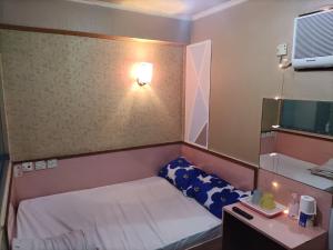 Voodi või voodid majutusasutuse 嘉湖旅館 toas