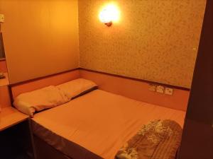 Voodi või voodid majutusasutuse 嘉湖旅館 toas
