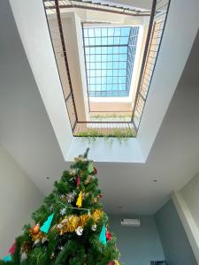 a christmas tree in a room with a skylight at Alleyhill Phuket - Private & Cozy Boutique in Phuket Town