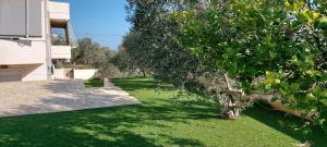 un cortile verde con un albero accanto a un edificio di Gianni & Sophia airport house a Artemida