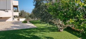 a green yard with a tree next to a building at Gianni & Sophia airport house in Artemida