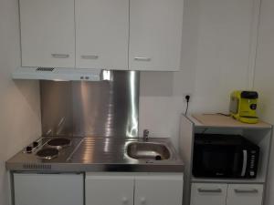 cocina pequeña con fogones y microondas en Logement indépendant très calme dans propriété, en Saint-Loubès