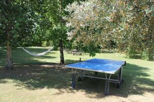 uma mesa de pingue-pongue azul no meio de um parque em Logement indépendant très calme dans propriété em Saint-Loubès