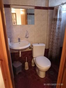 a bathroom with a toilet and a sink at ΡΑΧΗ in Kerasea