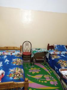 1 dormitorio con 2 camas y alfombra en HORUS Nubian Guest House, en Asuán